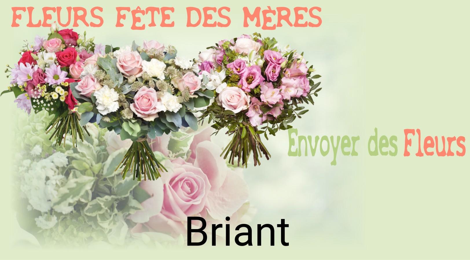 Bouquet de Fête des Mères livré à Briant